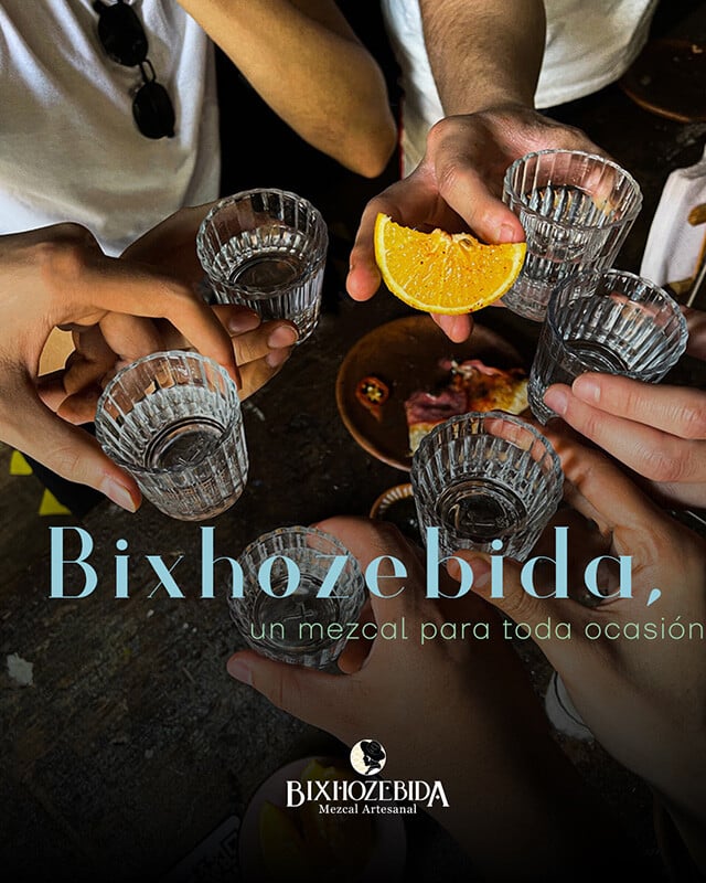 bixhozebida-portafolio-9